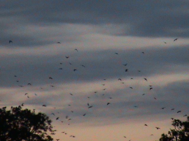 oldens031_zpsf62238ce.jpg?944