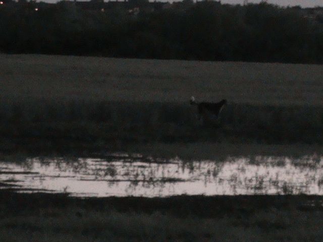 oldens035_zpsb8239342.jpg?994