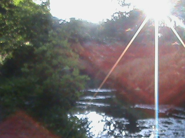 warmnights021_zpsc0fe7cbe.jpg?403