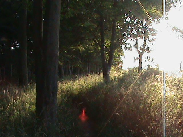 warmnights041_zpsa9eac1b7.jpg?399
