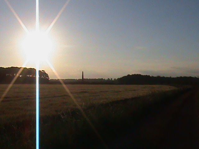 warmnights047_zps052cc6a4.jpg?345