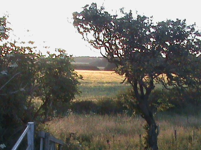 warmnights061_zps78ac5b9e.jpg?497