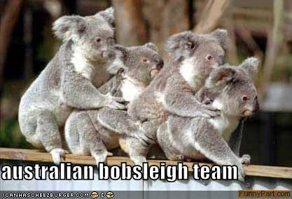 AUSTRALIAN%20BOBSLED%20TEAM_zpspgxfwixy.