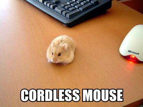 CORDLESS%20MOUSE_zps3lilqeuk.png