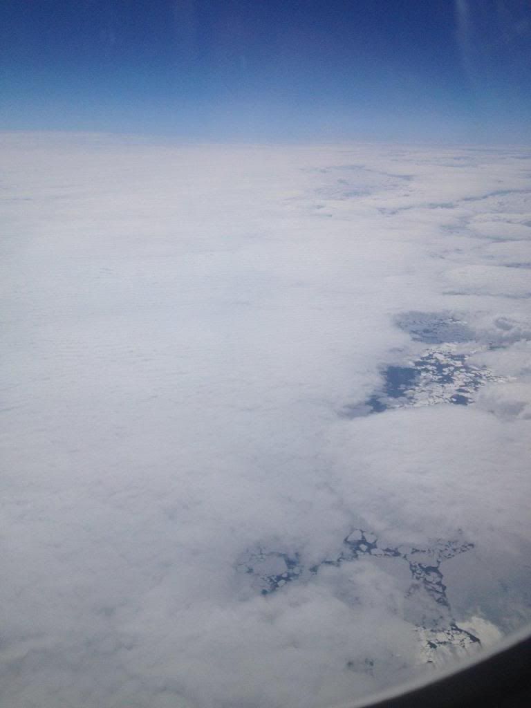 IMG_3503_zps39e9f994.jpg