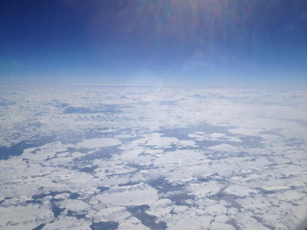 IMG_3509_zps49962512.jpg