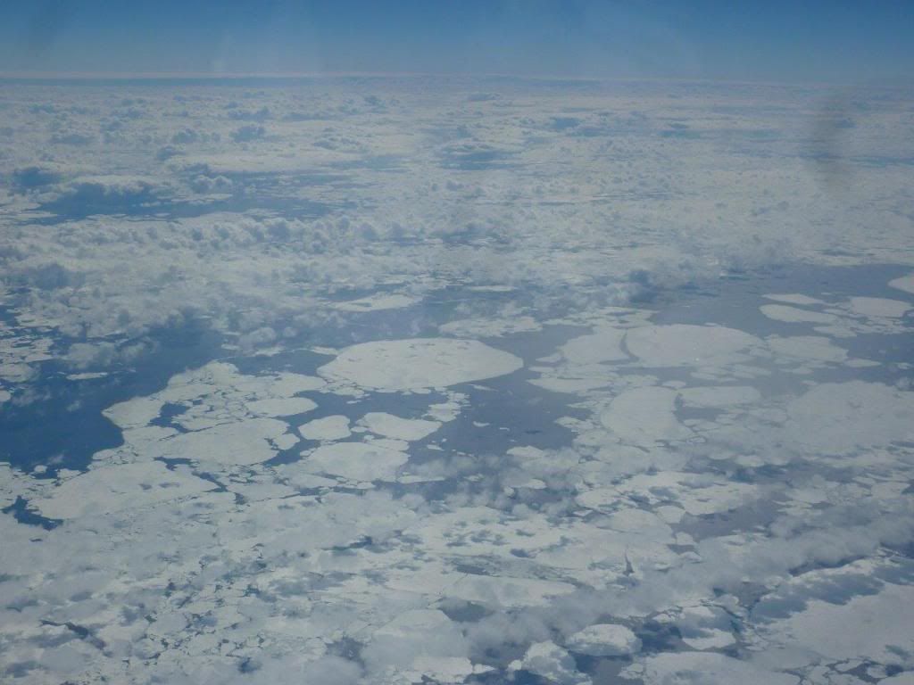 P1020879_zps3748b18e.jpg