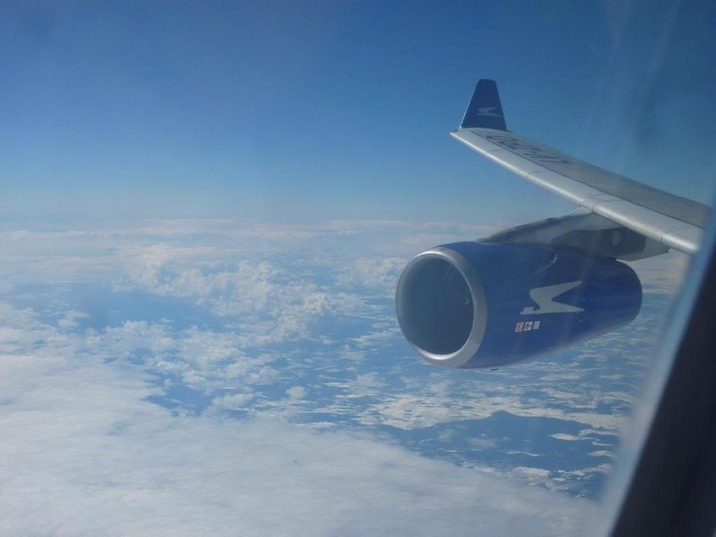 P1020882_zps67491e9c.jpg