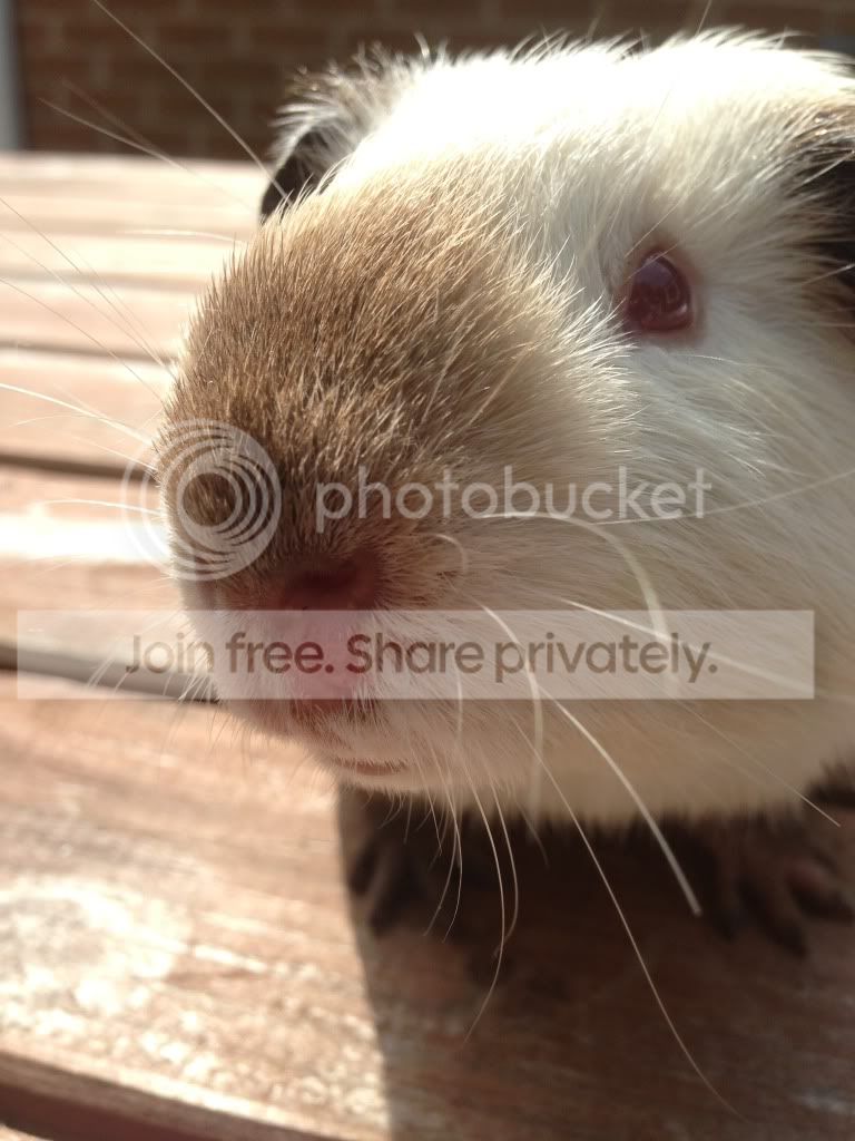 null_zpsb31ad5b6.jpg
