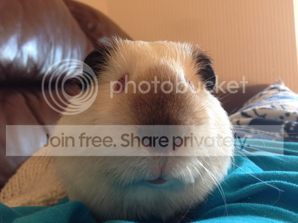 null_zpsc552a7c3.jpg