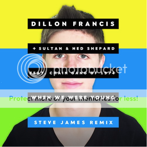  pDillon Francis, Sultan + Ned Shepahrd - When We Were Young (Steve James Remix)